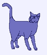 1CFelina.gif (2322 bytes)