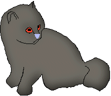 Bangora.gif (2407 bytes)