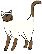 ChocSiaA.gif (3005 bytes)