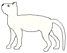 Kasmaray.gif (2552 bytes)