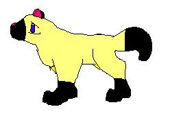 MarigoldHimmy.jpg (6496 bytes)