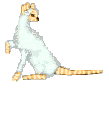 bathsheba.gif (4169 bytes)