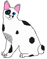 cecil.gif (2786 bytes)