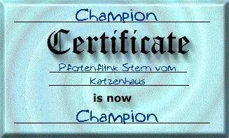 cert_pfotenflink.gif (28843 bytes)