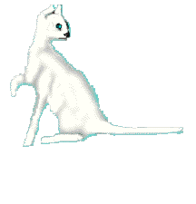 iesha.gif (3291 bytes)