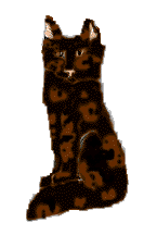 jardin.gif (4383 bytes)