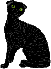 Ch. Pfotenflink vom Katzenhaus has two Best Cat wins and three open class wins