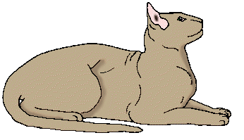 raretali2.gif (17547 bytes)